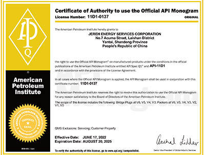 API 11D1认证